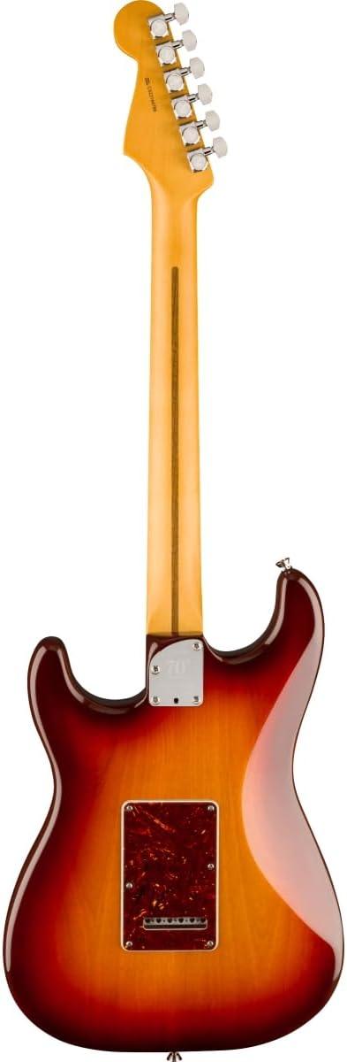 Fender 70th Anniversary American Professional II Stratocaster w/Rosewood Fingerboard - Cometburst. Phil and Gazelle.