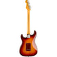 Fender 70th Anniversary American Professional II Stratocaster w/Rosewood Fingerboard - Cometburst. Phil and Gazelle.