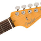 Fender 70th Anniversary American Professional II Stratocaster w/Rosewood Fingerboard - Cometburst. Phil and Gazelle.