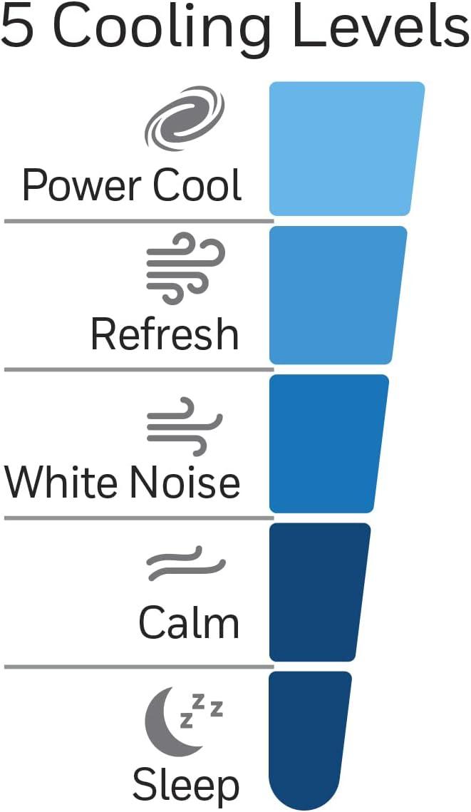 Honeywell HYF260BC QuietSet® Whole Room 40” Tall Tower Fan Phil and Phil.