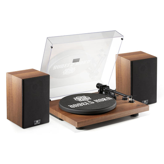 Vinyl Record Player, Hi-Fi System Bluetooth Turntable. Phil and Gazelle.