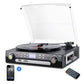 DIGITNOW Vinyl/LP Turntable Record Player, with Bluetooth, AM&amp;FM Radio, Cassette Tape, Aux in, USB/SD Encoding &amp; Playing MP3. Phil and Gazelle.