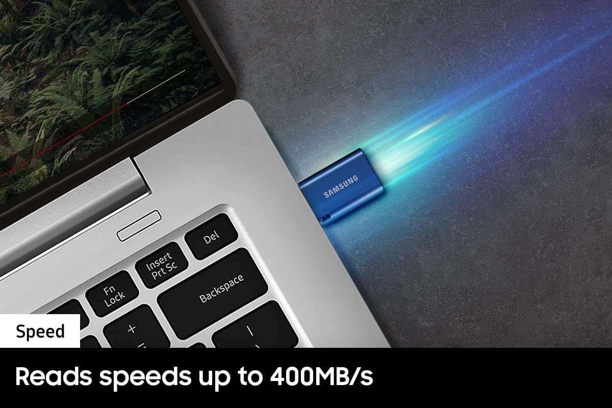 SAMSUNG Type-C USB Flash Drive, 256GB, Transfers 4GB Files in 11 Secs. Phil and Gazelle.