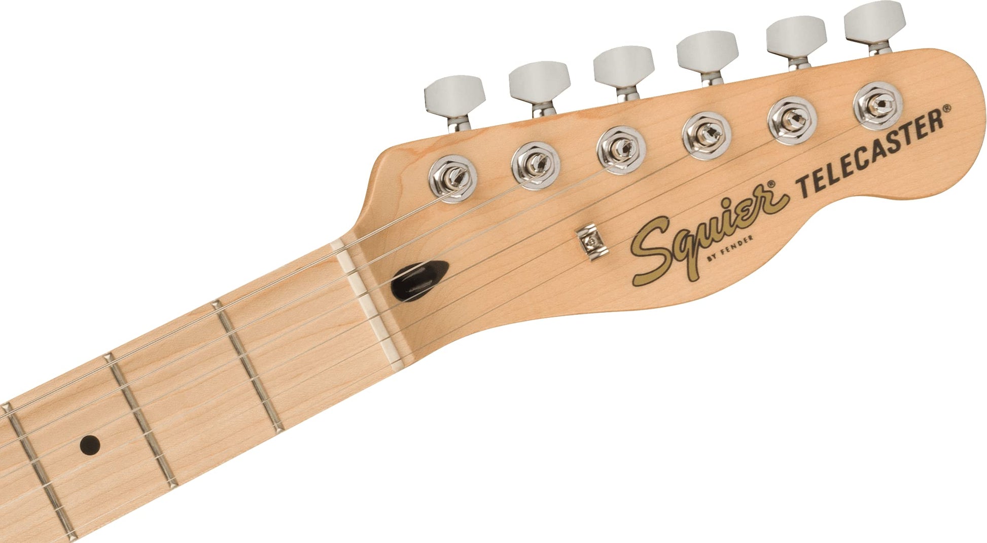 Squier Affinity Series Telecaster Electric Guitar. Phil and Gazelle.