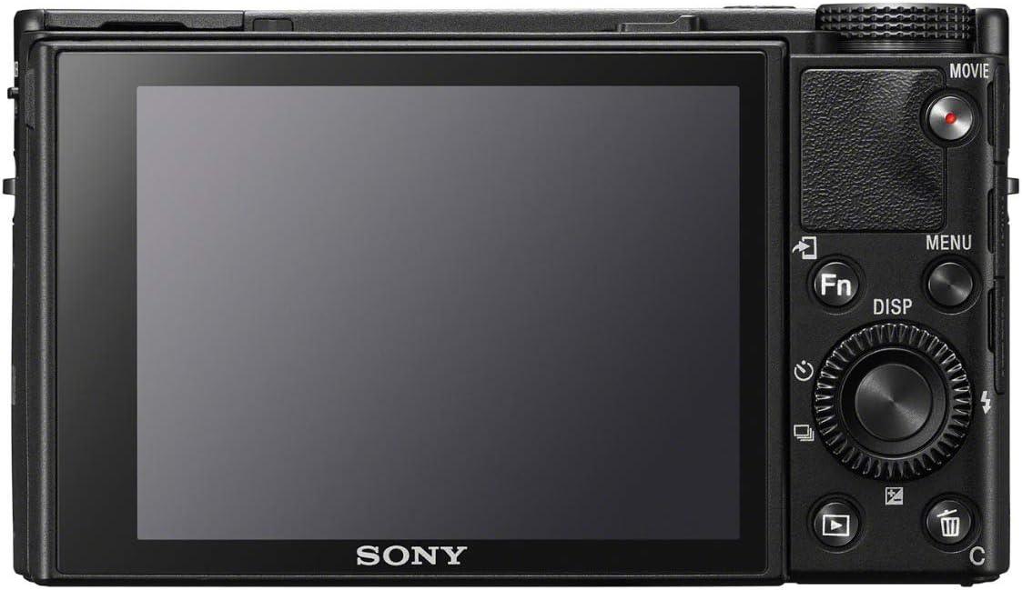 Sony RX100 VII Premium Compact Camera with 1.0-Type Stacked CMOS Sensor. Phil and Gazelle.