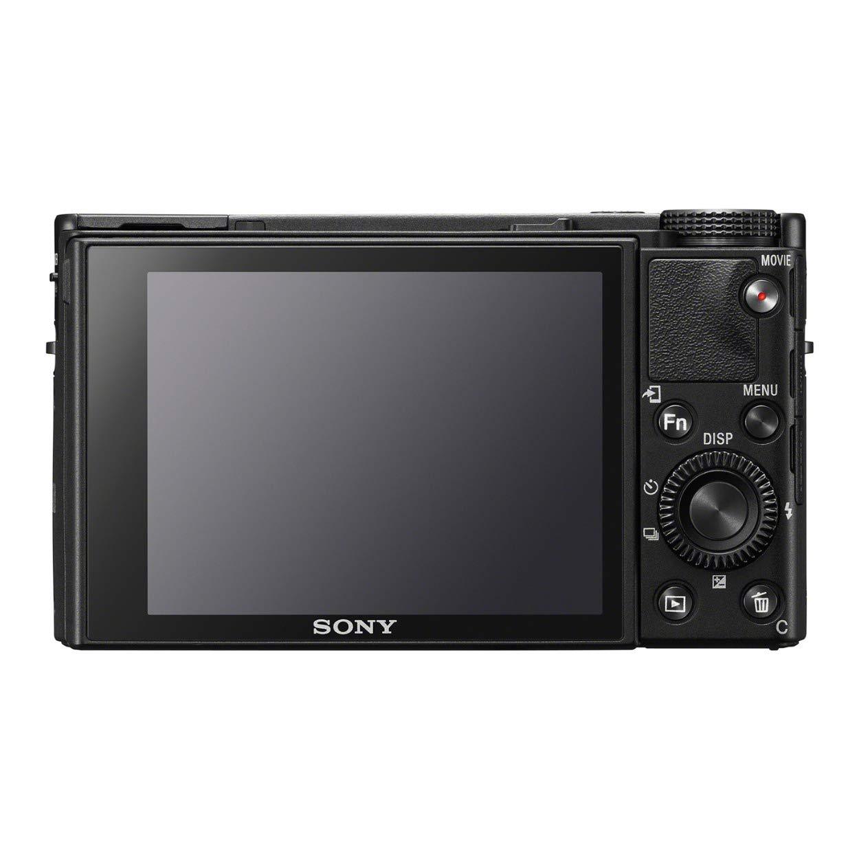 Sony RX100 VII Premium Compact Camera with 1.0-Type Stacked CMOS Sensor. Phil and Gazelle.