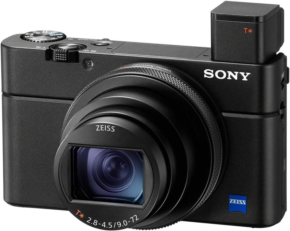 Sony RX100 VII Premium Compact Camera with 1.0-Type Stacked CMOS Sensor. Phil and Gazelle.