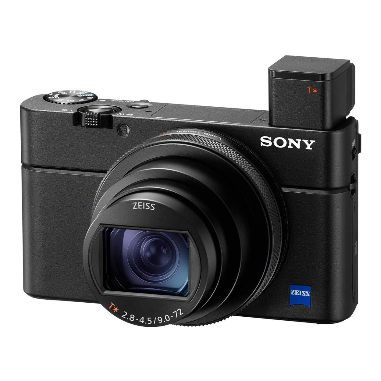 Sony RX100 VII Premium Compact Camera with 1.0-Type Stacked CMOS Sensor. Phil and Gazelle.