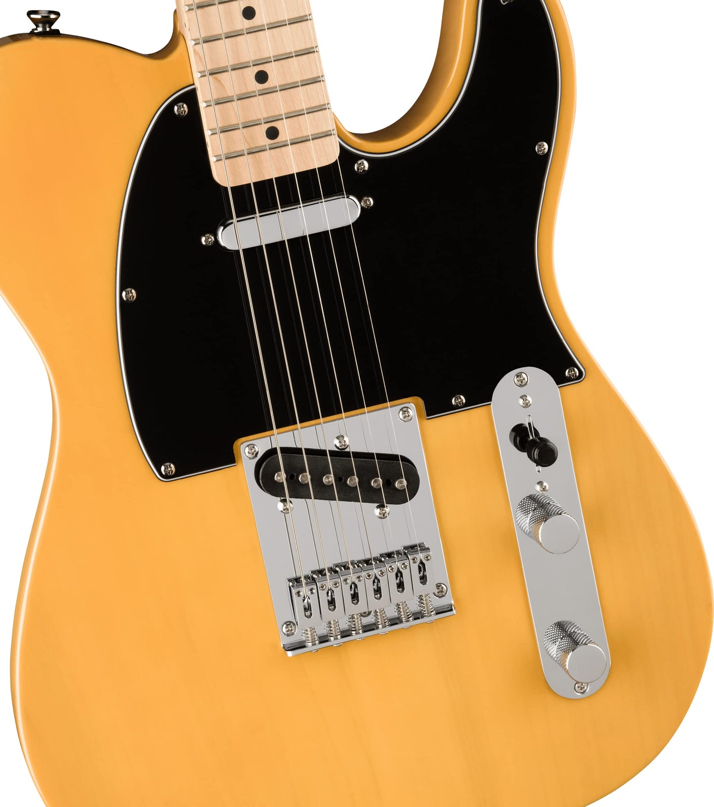 Squier Affinity Series Telecaster Electric Guitar. Phil and Gazelle.