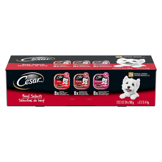 CESAR Classic Loaf in Sauce Adult Wet Dog Food Beef Selects Variety Pack. Phil and Gazelle.