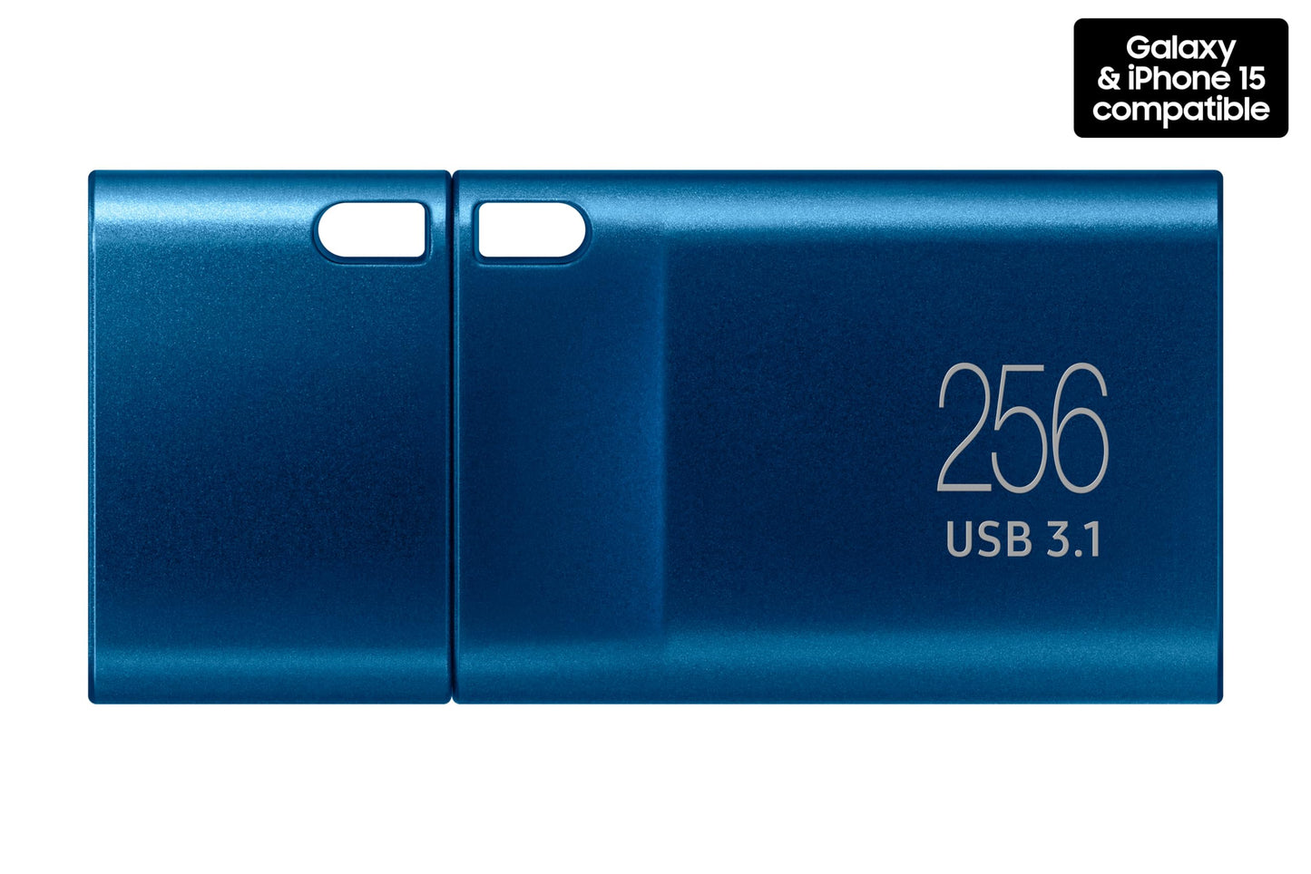 SAMSUNG Type-C USB Flash Drive, 256GB, Transfers 4GB Files in 11 Secs. Phil and Gazelle.