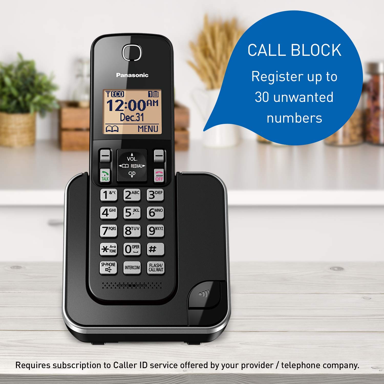 Panasonic DECT 6.0 Expandable Cordless Phone with Call Block.. Phil and Gazelle.