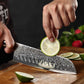 HEZHEN 5PC Kitchen Knives Set-Durable, Vacuum Heat Treated Damascus Steel. Phil and Gazelle.