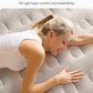 Luxury Air Mattress Queen with Built in Pump. Phil and Gazelle.