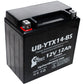 Motorcycle Battery, ATV Battery 12V 12AH, UTV, 4 Wheeler, Snowmobile. Phil and Gazelle.