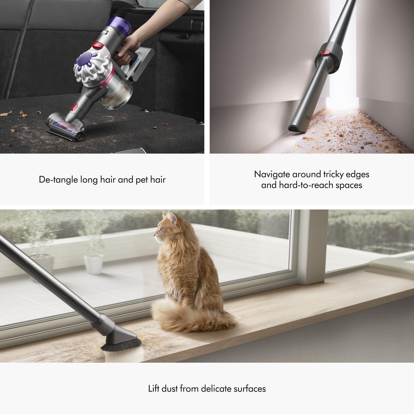 Dyson V8 Plus Cordless Vacuum. Phil and Gazelle.