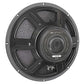 EMINENCE American Standard 15" Pro Audio Speaker 500 Watts. Phil and Gazelle.