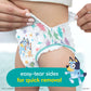 Pampers Easy Ups Diapers, Size 5 (3T-4T) Phil and Gazelle.