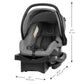 Evenflo Omni Plus Modular Travel Car Seat. Phil and Gazelle.