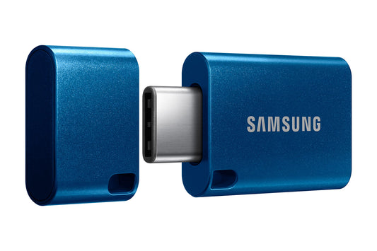 SAMSUNG Type-C USB Flash Drive, 256GB, Transfers 4GB Files in 11 Secs. Phil and Gazelle.