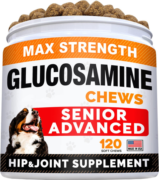 Senior Advanced Glucosamine Joint Supplement for Dogs. Phil and Gazelle.