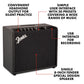 Fender Mustang LT-25 - Digital Guitar Amplifier. Phil and Gazelle.