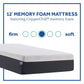 Sealy, 12-Inch, Memory Foam Bed in a Box, California King. Phil and Gazelle mattress.