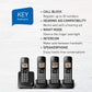 Panasonic DECT 6.0 Expandable Cordless Phone with Call Block.. Phil and Gazelle.