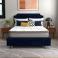 Early Bird Fusion 12 Inch Hybrid Cooling Gel Supportive Memory Foam Mattress..Phil and Gazelle. mattress