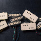 Fender CuNiFe Stratocaster Pickup Set Electric Guitar Electronics. Phil and Gazelle.