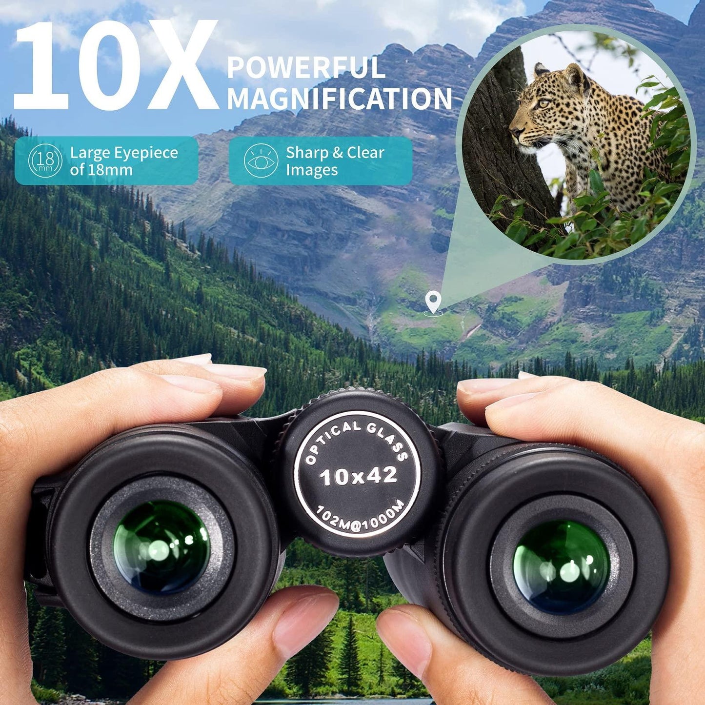 10x42 Roof Prism Binoculars HD Professional.