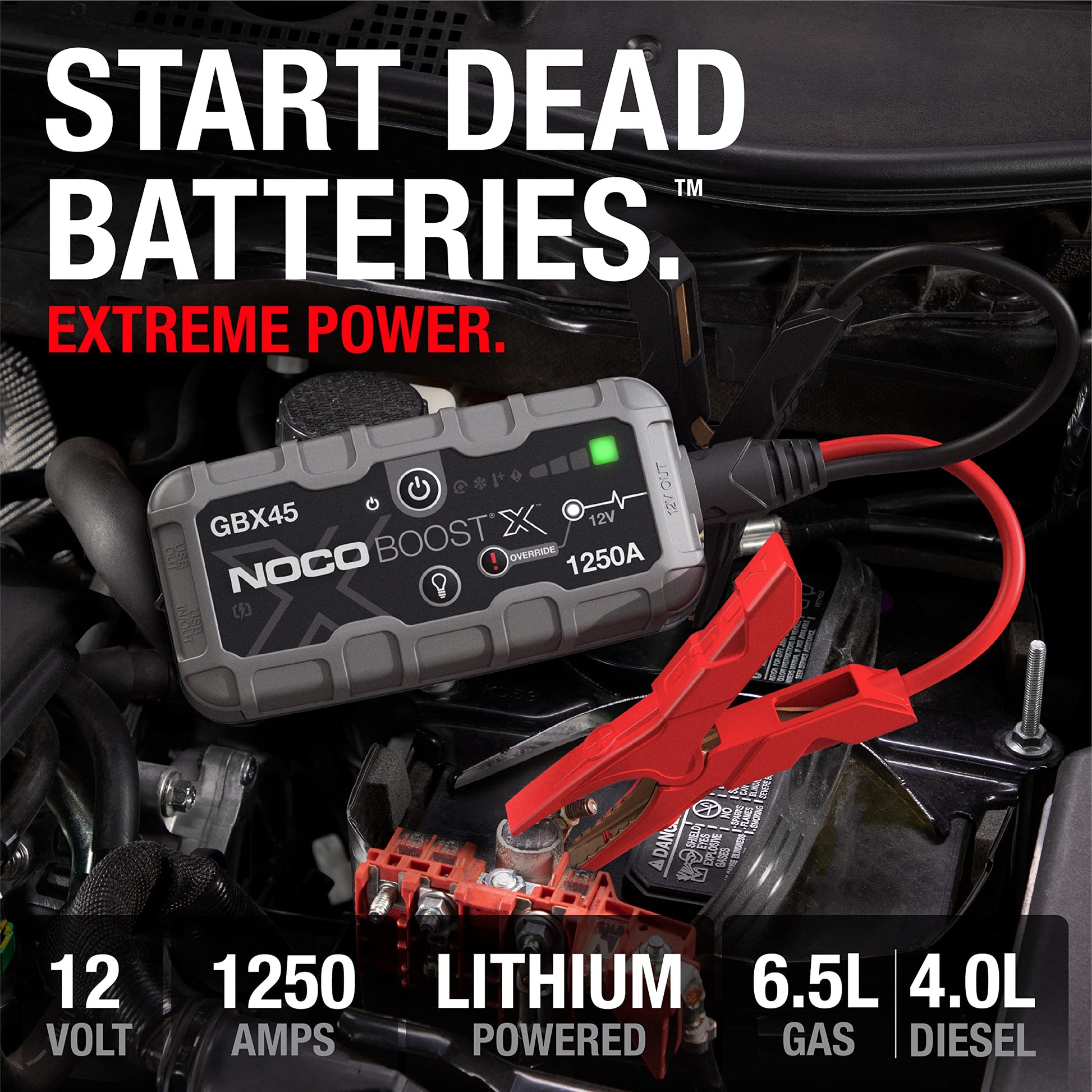 1250A 12V UltraSafe Portable Lithium Jump Starter. Phil and Gazelle.