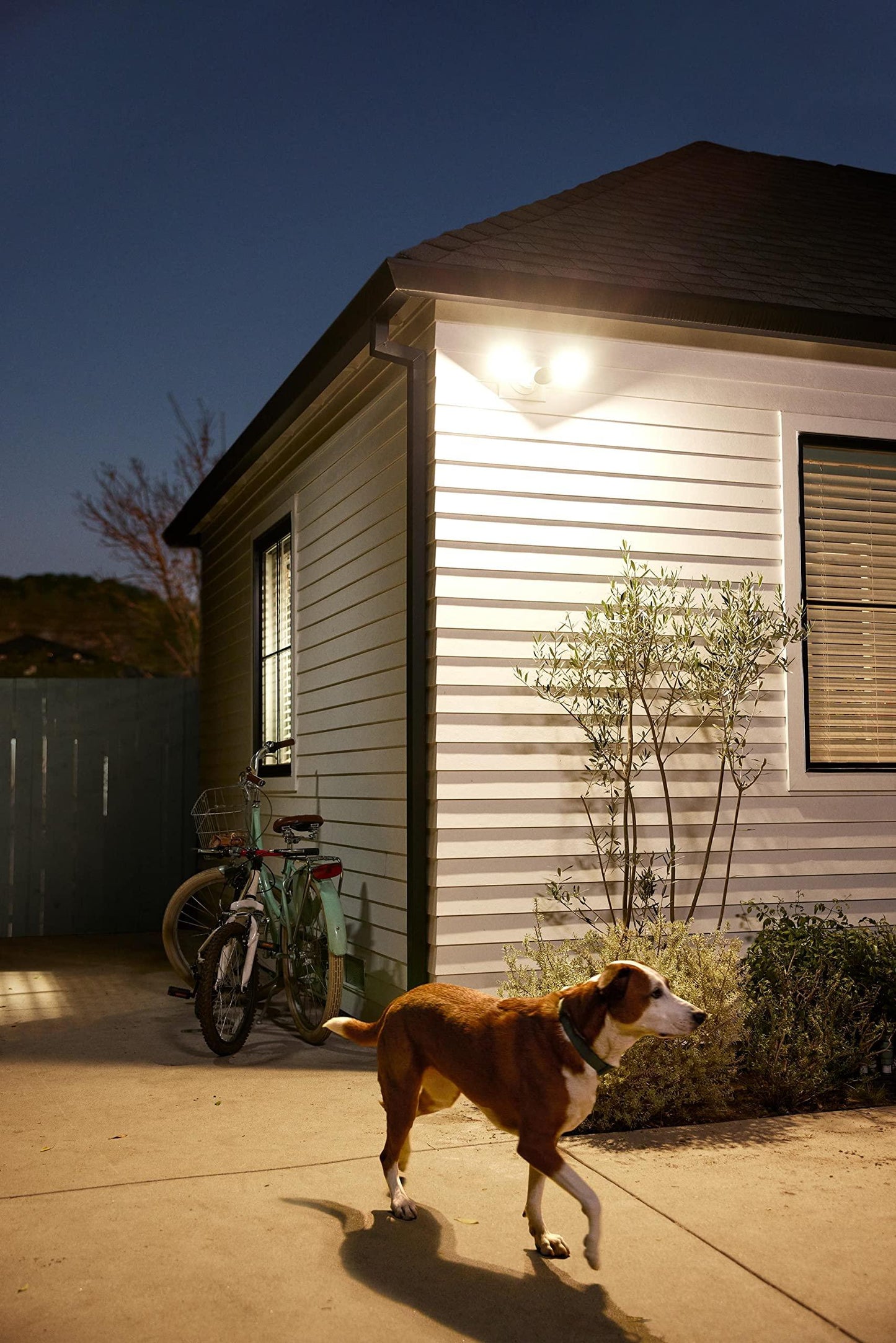 Google Nest Cam with Floodlight Phil and Gazelle